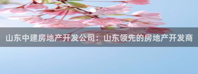 万向娱乐登陆官网