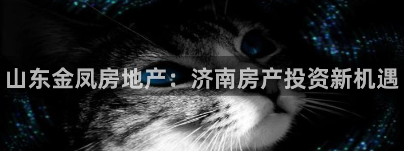 万向娱乐app下载