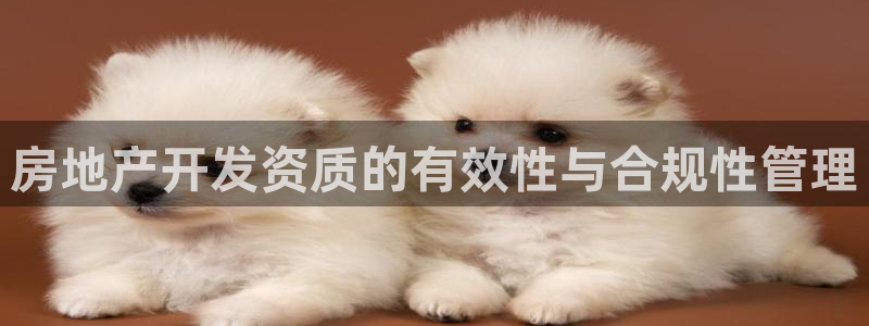 万向娱乐平台注册条件有哪些