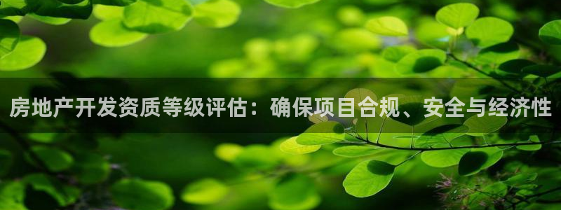 万向娱乐灯333OO