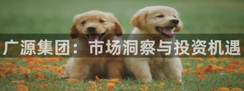 万向娱乐app下载官网