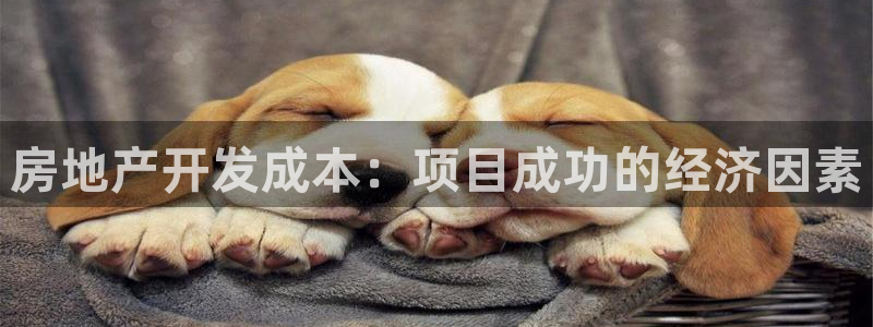 万向娱乐平台代理怎么做的