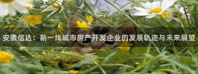 万向娱乐平台代理怎么样啊