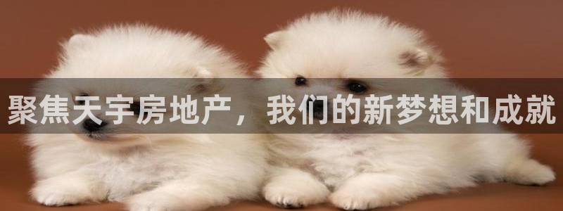 万向娱乐平台注册条件是什么