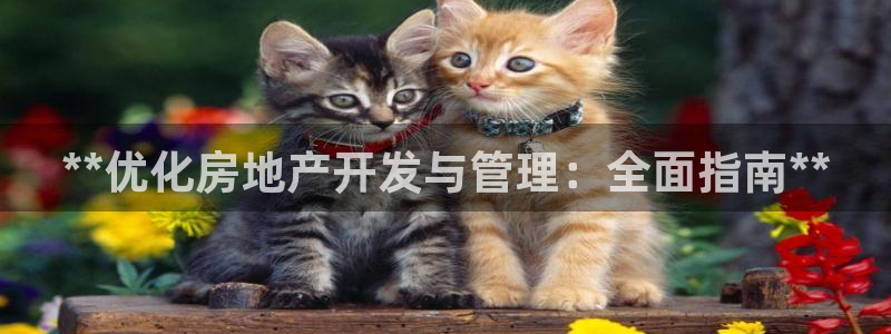 万向娱乐平台代理