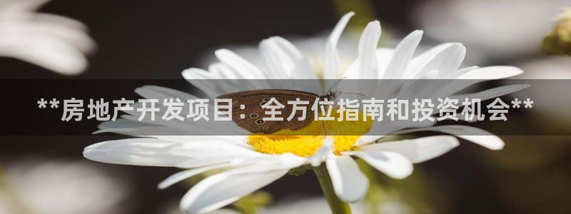 万向娱乐的注册登录是什么