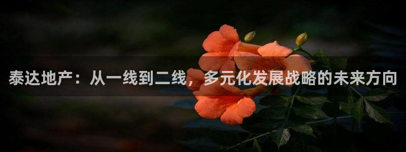 万向娱乐公司官网