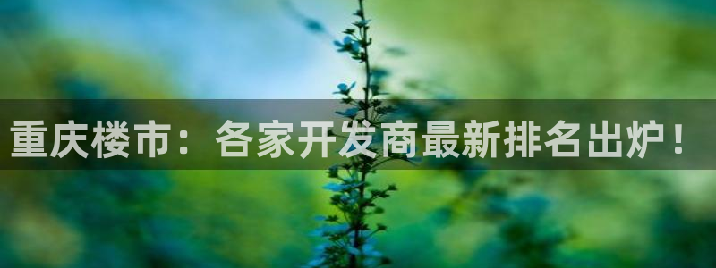 万向娱乐平台招商骗局