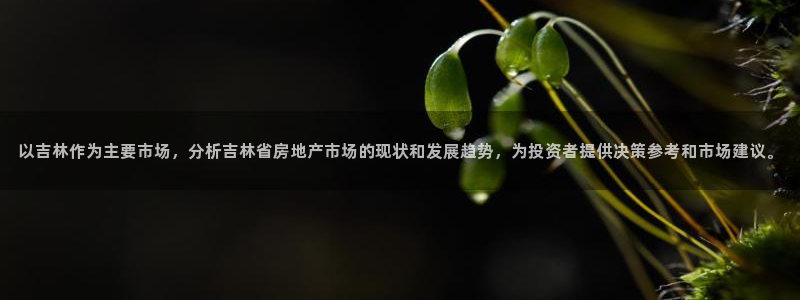 万向娱乐官网网址是什么