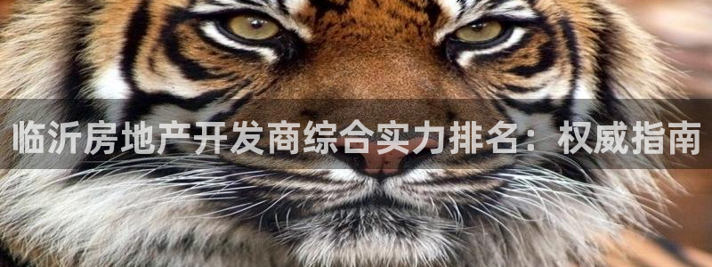 万向娱乐官网网址是多少