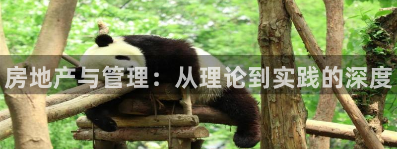 万向娱乐平台下载安装