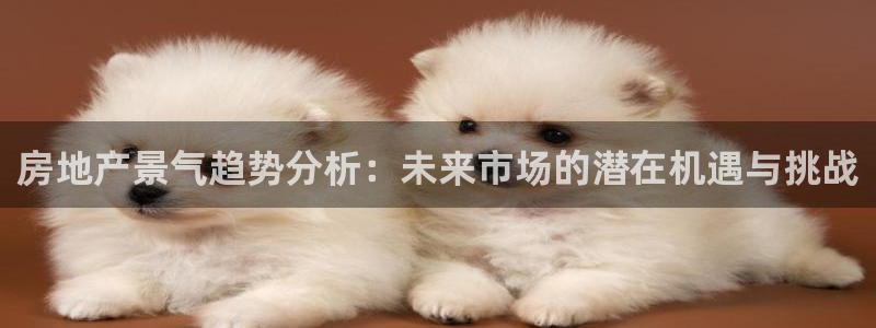 万能娱乐代理网址