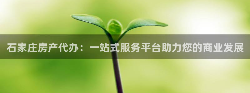 万向娱乐的494o3 主管