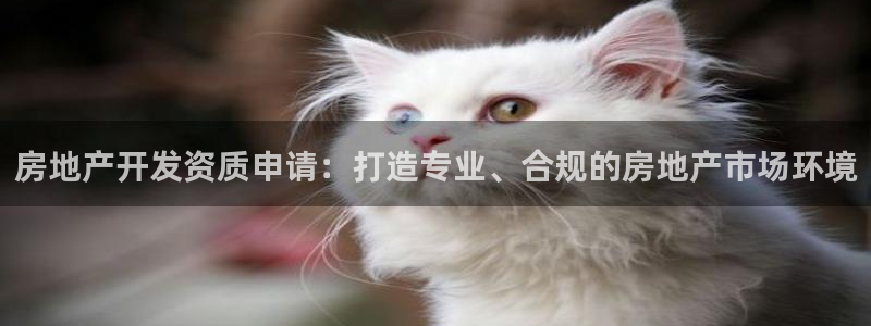 万向娱乐的联系方式是什么