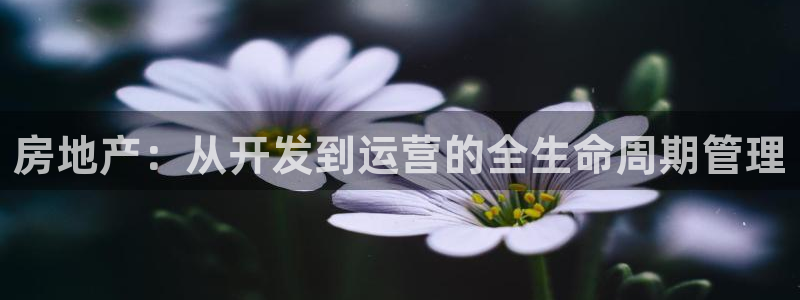 万向娱乐平台注册条件