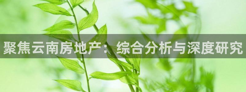 万向娱乐平台注册条件是什么